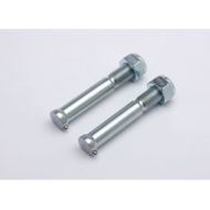 Renthal Spare Bolts M10X77mm