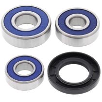 All balls Wh Brg Kit Fr,RMZ250 07-15,RMZ450 05-15,YZ-F 14-16