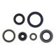 Athena Eng. Oil Seal Set fits for SX85 18-.. TC85 18-..