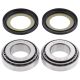 All Balls-Steering Brg - Seal Kit Buell Blast 00-09, Cyclone