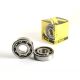 ProX Crankshaft Bearing & Seal Kit Warrior/Raptor 350 87-13