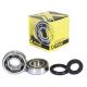 ProX Crankshaft Bearing & Seal Kit SX85 / SX105 03-..