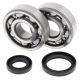 All Balls-Crank Shaft Brg Kit Suzuki RM125 89-08 