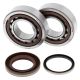 All Balls-Crank Shaft Brg Kit KTM SX-F 250 05-12, XC-F 