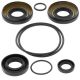 All Balls-Diff Seal Kit - Rear Kawasaki KVF650 I Brute