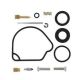 All Balls-Carburetor Kit, Complete Honda CR250R 05-07