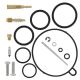 All Balls-Carburetor Kit, Complete Honda TRX90 13-..