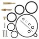 All Balls-Carburetor Kit, Complete Honda TRX90 06-12