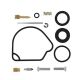 All Balls-Carburetor Kit compl fits for SX65 09-..