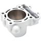 Airsal Cylinder KAWASAKI KX 250F 11-16 Ø77 