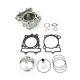 Athena Complete Cylinder Kit RMZ250 19-.. OEM 