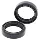 All Balls-Fork Seal Only Kit SX50 / TC50