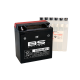 BS Battery  BTX16-BS-1 MF (cp) Maintenance Free