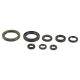 Athena Engine Oil Seal Kit CRF150R 07-..