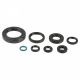 Athena Engine Oil Seal Kit CR250 92-07