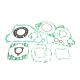 Athena Gasketset Complete CR250 02-04