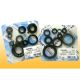 Athena Engine Oil Seal Kit KLX250 93-98 