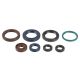 Athena Engine Oil Seal Set SX250 03-16