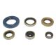 Athena Engine Oil Seal Set SX125/150 16-.. TC125 16-.. 