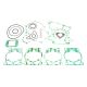 Athena Gasketset Complete SX50 09-..