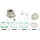 Athena Race Kit YZ85 Big bore 02-.. 105CC*