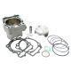 Athena Race Kit LTR450 06-.. 100mm