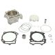 Athena Bigbore Cylinder Kit RMZ450 08-.. 100mm/490cc