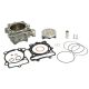 Athena Race Kit RMZ250 10-.. 83mm/290cc