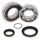 All Balls-Crank Shaft Brg Kit TC/TE250 14-..  SX250 03-..