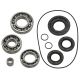 Bronco Differential bearing kit