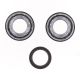 Athena Crankshaft Rebuilding Kit Triumph TF250X/E 24-..
