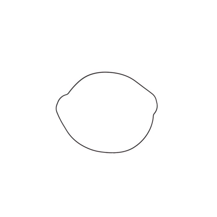 ProX Clutch Cover Gasket KTM SX250/350F 16-.