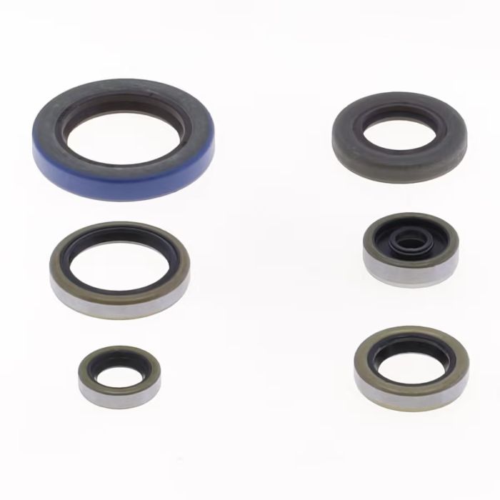Athena Eng Oil Seal Set fits for SX65/TC65/MC65 24-..