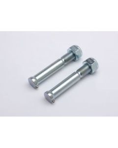 Renthal Spare Bolts M10X77mm