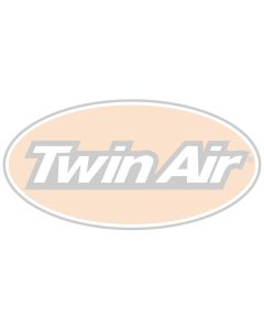 Twin Air Decal Oval 'Medium' (150x60mm)