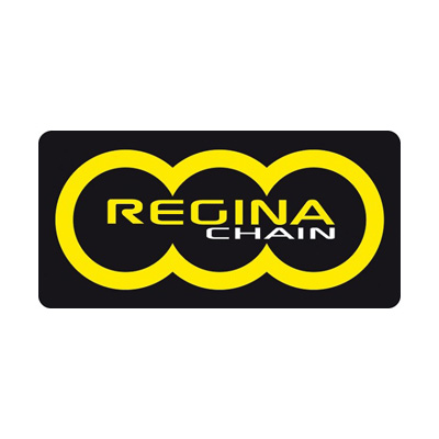 *Regina Chain Connection 415 Gold